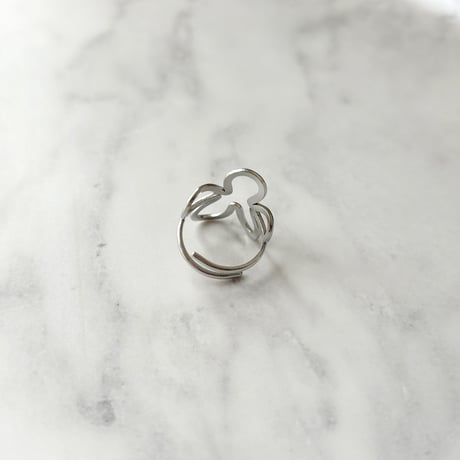 ring 324