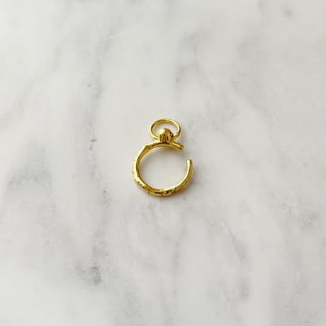 ring 331