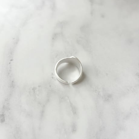 ring 321