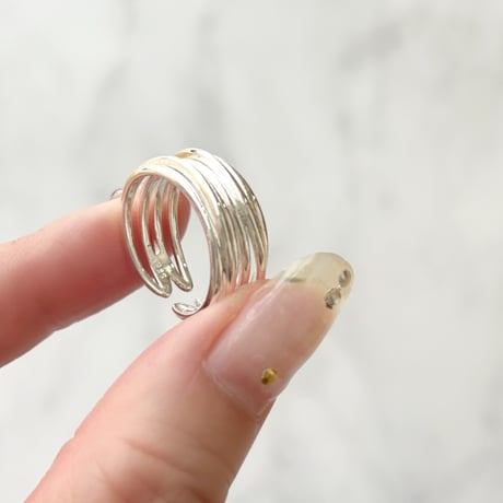 ring 295