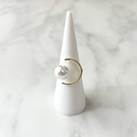 ring 329