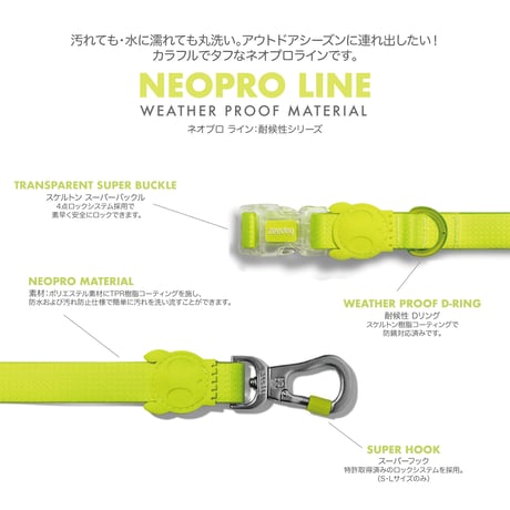 570222 NEOPRO TANGERINE LEASH XS　ネオプロ タンジェリン リードXS