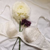 Minty Underwire Bra｜White