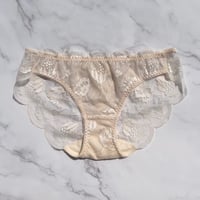 Protea Bikini｜Vanilla