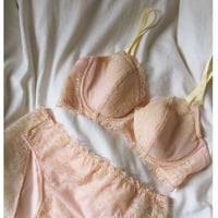 Peach Rose Underwire Bra｜Bavy Pink
