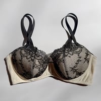 Cotelia Underwire Bra｜Ivory