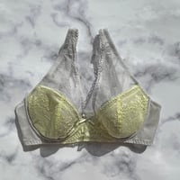 Floral Underwire Bra｜Gray