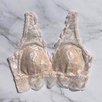 Protea Long Bralette（パッド込み）｜Vanilla