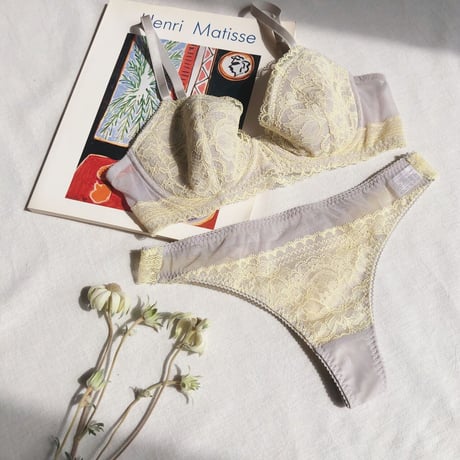 Tiara Lemon × Gray Underwire Bra