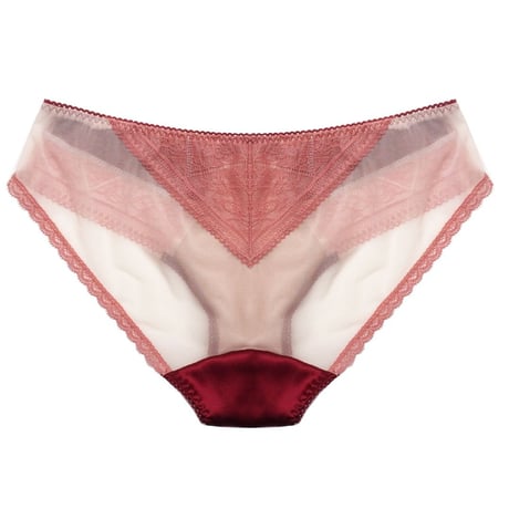 Bicolor Silk Bikini｜Wine Red