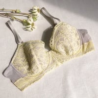 Tiara Lemon × Gray Underwire Bra