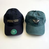 American Museum of Natural History　CAP アメリカンミュージアム オブ ナチュラルヒストリー　キャップ　アメリカ自然史博物館　AMNH