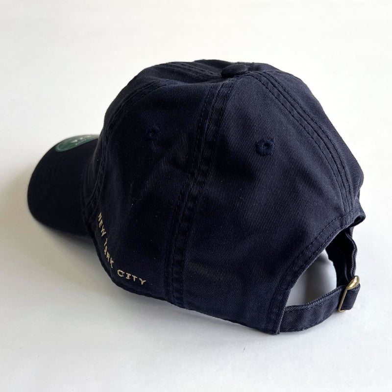 【レア】アメリカ自然史博物館　限定 キャップ American Museum of Natural History CAP アメリカンミュー