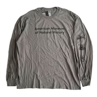 American Museum of Natural History　INSECTS L/S Tshirt　アメリカンミュージアム オブ ナチュラルヒストリー　アメリカ自然史博物館 AMNH