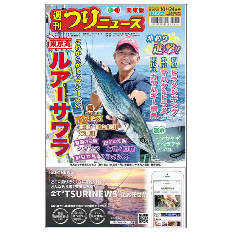 【稀少】図解 趣味の釣りシリーズ ルアー釣り入門 /相模鱒二著/新星出版社 稀少】図解 趣味の釣りシリーズ ルアー釣り入門 /相模鱒二著