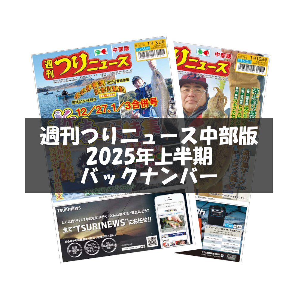 バックナンバー】週刊つりニュース中部版【2025年1月～6月分