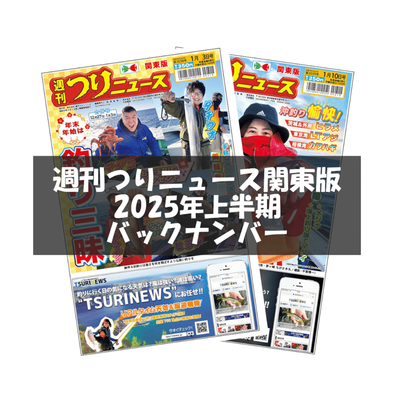 フィッシング 1973年 1〜12月 12冊まとめ　 釣り雑誌　バックナンバー バックナンバー】週刊つりニュース関東版【2025年3月～6月分