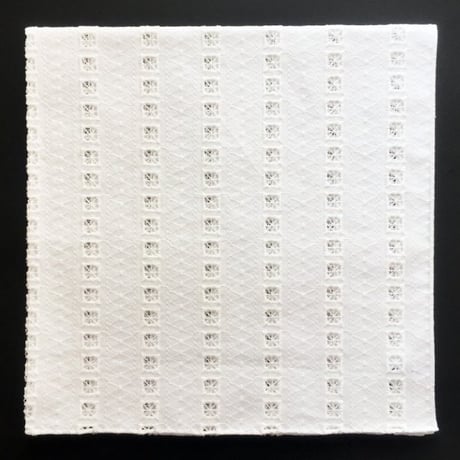 オールオーバーエンブロイダリーレースハンカチ（WHITE）