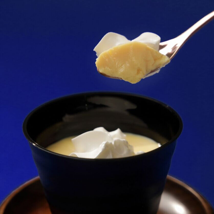 プリン様 TOUR PRO Z Ⅵ AC - Prince プリンステニス公式サイト