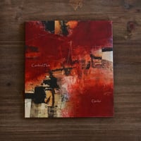 新品未開封　別野加奈　海辺の花屋 海辺の花屋 / 別野加奈(ブックレット無し通常版) | Tokage Store