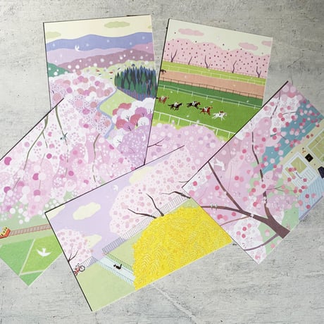 春のポストカードセット2024桜