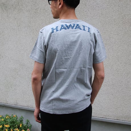 【RE PRICE/価格改定】[AUD1764] Audience University of Hawaii "HAWAII" 7.1oz米綿丸胴オールドプリントクルーネックポケットT