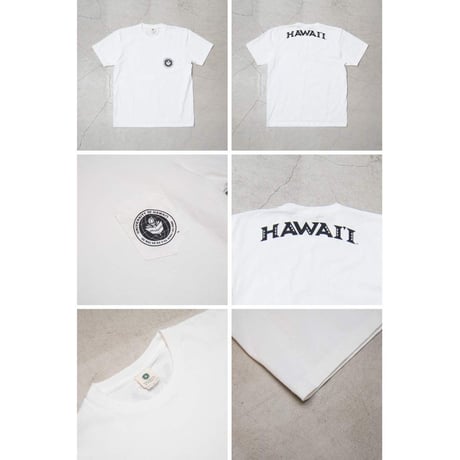 【RE PRICE/価格改定】[AUD1764] Audience University of Hawaii "HAWAII" 7.1oz米綿丸胴オールドプリントクルーネックポケットT