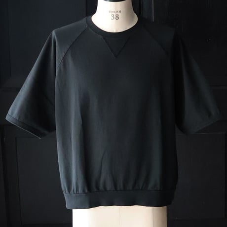 ピグメント 米綿 (USAコットン) 16/-天竺 ( 8.45オンス) ガゼットクルーネック ラグラン ハーフスリーブ バルーン Tシャツ / Audience [AUD6625]