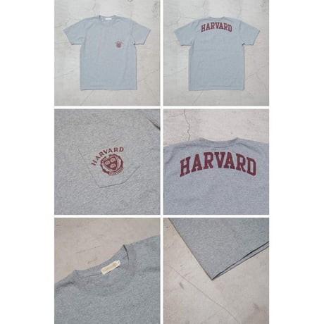 【RE PRICE / 価格改定】[AUD1763] Audience Harvard University "HARVARD" 7.1oz米綿丸胴オールドプリントクルーネックポケットT