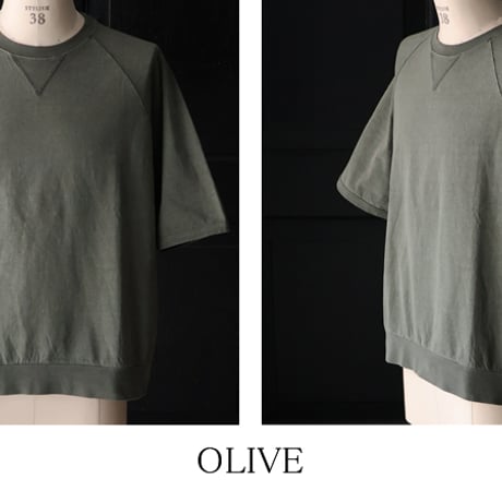 ピグメント 米綿 (USAコットン) 16/-天竺 ( 8.45オンス) ガゼットクルーネック ラグラン ハーフスリーブ バルーン Tシャツ / Audience [AUD6625]