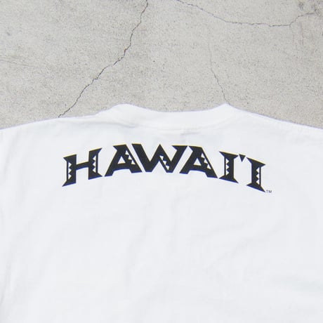 【RE PRICE/価格改定】[AUD1764] Audience University of Hawaii "HAWAII" 7.1oz米綿丸胴オールドプリントクルーネックポケットT