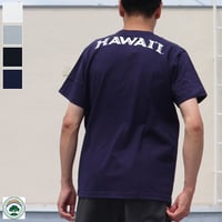 【RE PRICE/価格改定】[AUD1764] Audience University of Hawaii "HAWAII" 7.1oz米綿丸胴オールドプリントクルーネックポケットT