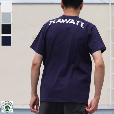 【RE PRICE/価格改定】[AUD1764] Audience University of Hawaii "HAWAII" 7.1oz米綿丸胴オールドプリントクルーネックポケットT