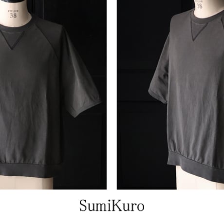 ピグメント 米綿 (USAコットン) 16/-天竺 ( 8.45オンス) ガゼットクルーネック ラグラン ハーフスリーブ バルーン Tシャツ / Audience [AUD6625]
