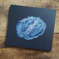 別野加奈/海辺の花屋/アンビエント/廃盤CD/未開封品/ 別野加奈/海辺の花屋/アンビエント/廃盤CD/未開封品/ - メルカリ
