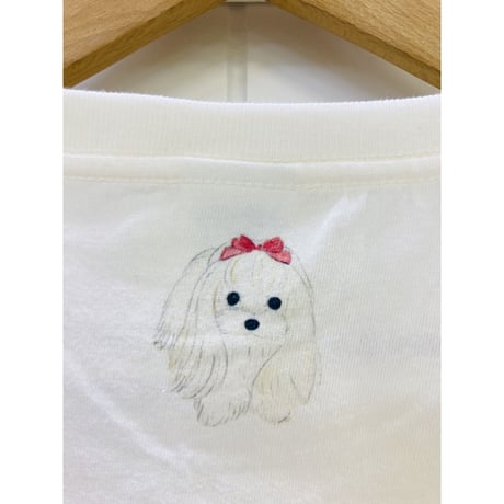 レディースTシャツ☆マルチーズ