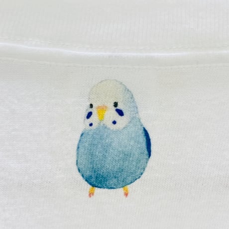 ビックTシャツ☆セキセイパラダイス