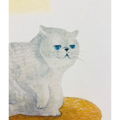 レディースTシャツ☆ちゃぶ台と猫