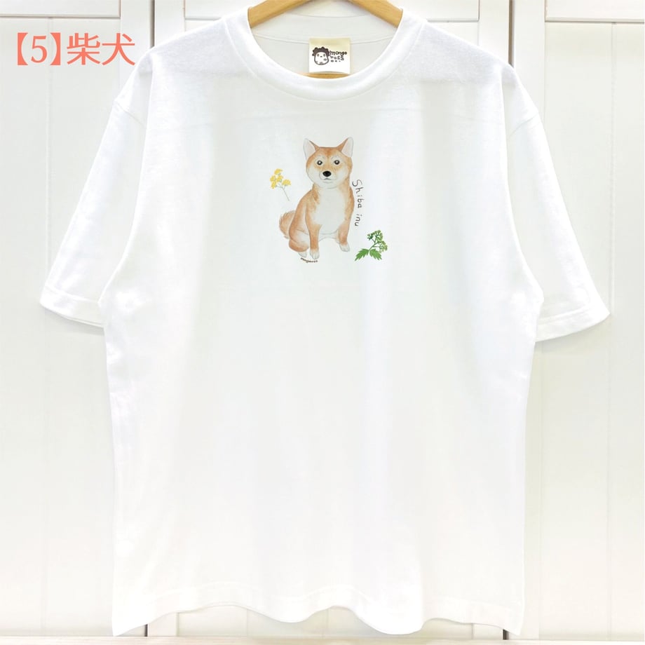 63ff13e57c42ee7ed09798eb