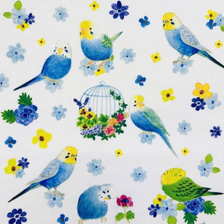 ビックTシャツ☆セキセイパラダイス