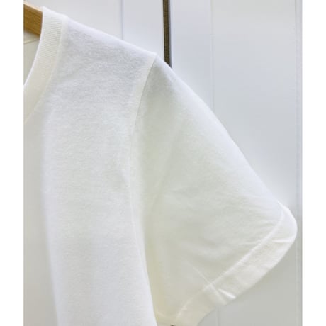 レディースTシャツ☆ポメラニアン