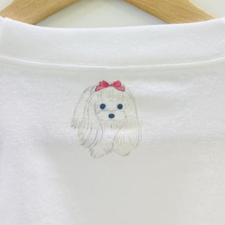 ビックTシャツ☆マルチーズ