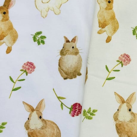 レディースTシャツ☆ポメラニアン