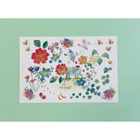 ポストカード☆モンゴの森