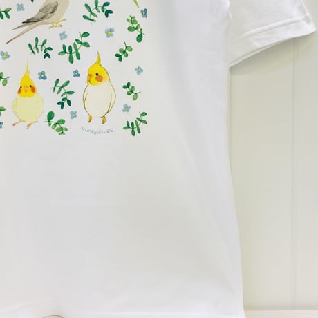 ビックTシャツ☆ボタニカルオカメ