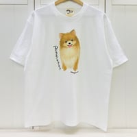 ビックTシャツ☆BIGポメラニアン