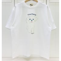 ビックTシャツ☆BIGマルチーズ