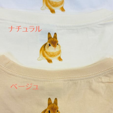 レディースTシャツ☆薔薇とうさぎ