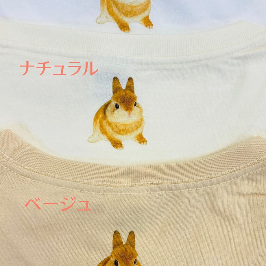 63b238fac9883d794ce2ae33