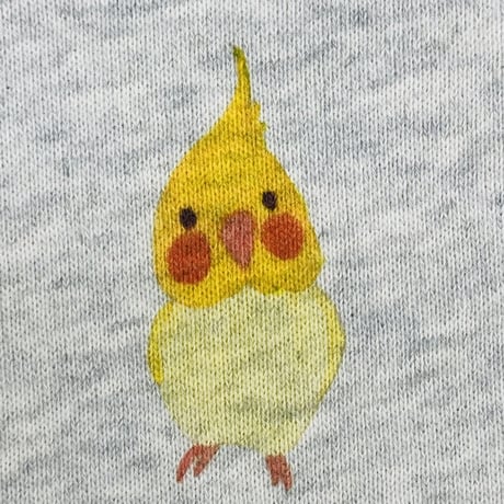 プルパーカー☆ボタニカルオカメ